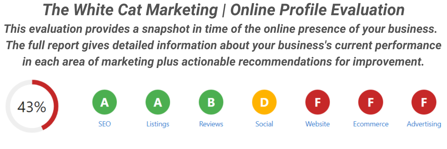Online Presence Audit